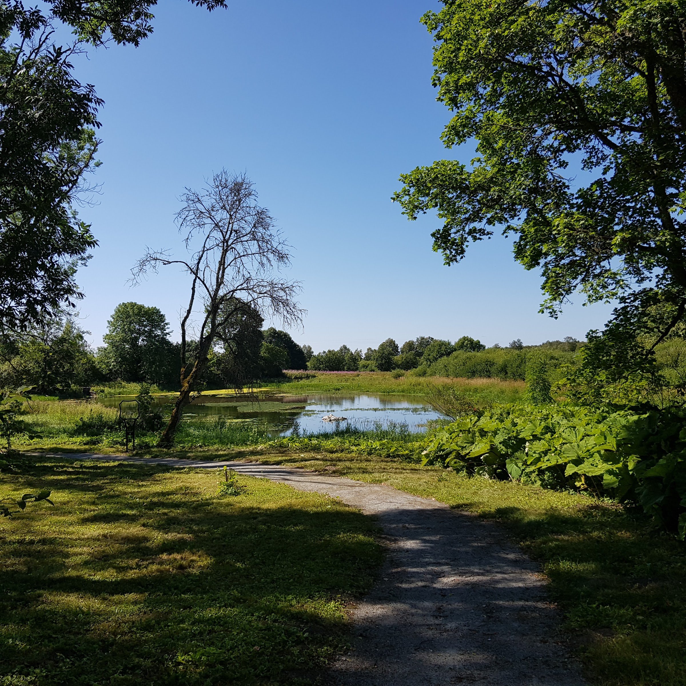 Kiltsi Manor (Kiltsi mõis)